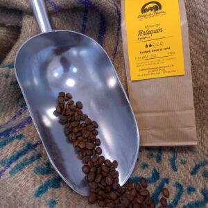 Arlequin - Le mélange de café de l'atelier des moulus